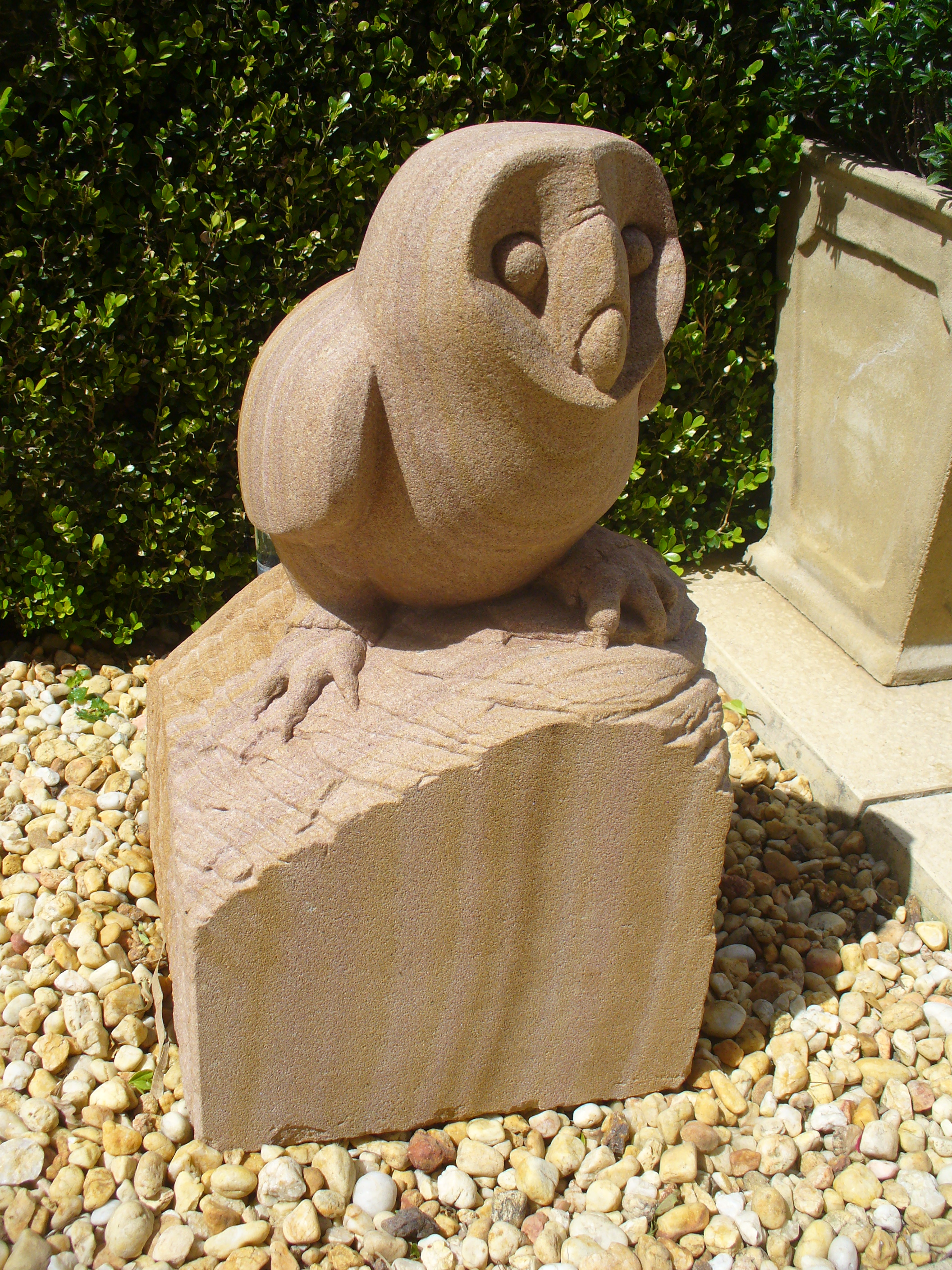 Owl 8